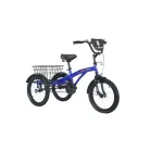 THREE WHEEL BICYCLES 10 20 BOX