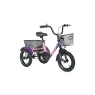 THREE WHEEL BICYCLES 10 box d