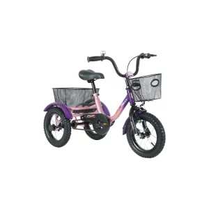 THREE WHEEL BICYCLES 12 BOX: The Super Cargo Cruiser