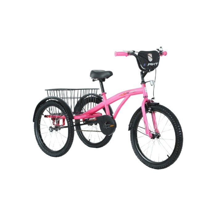 THREE WHEEL BICYCLES 20 BOX