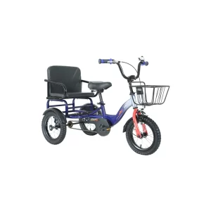 THREE WHEEL BICYCLES 12 SOFA: The Friendship Cruiser
