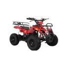 ATV BIKE CZ001 c