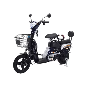 E10 PRO BIKE - The Ultimate Urban Utility E-Bike