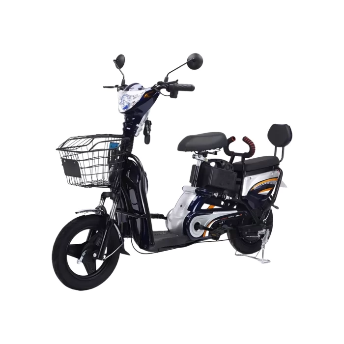 E10 PRO BIKE