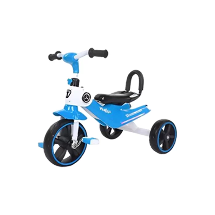 TRICYCLES 24-818 b