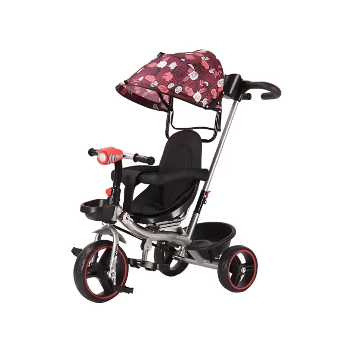 TRICYCLES GC