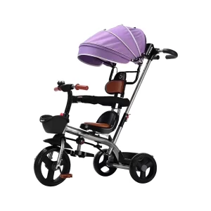 TRICYCLES MY: The Ultimate Grow-With-Me Trike in Premium Style!
