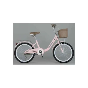 KIDS CYCLE FL- 20: Classic Charm for the Modern Rider