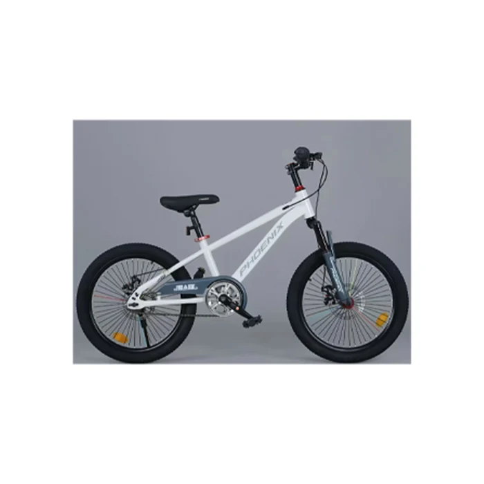 KIDS CYCLE M9- 18 copy 2