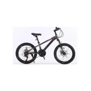 KIDS CYCLE T8-20: Level Up Their Ride