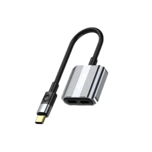 Green Lion 2 In 1 Splitter Adapter Type-C to Dual Type-C - Gray